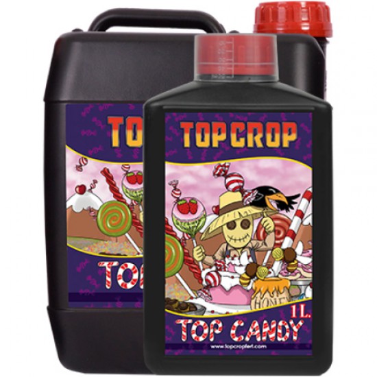 Top Candy Top Crop Top Candy Top Crop
