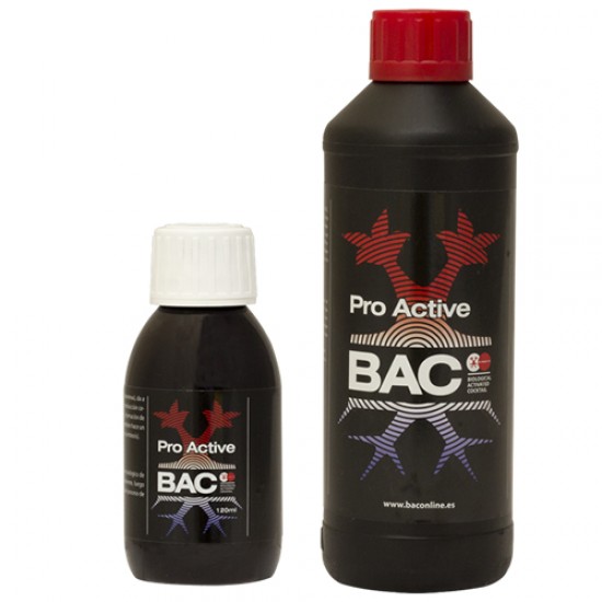 Pro Active Pro Active