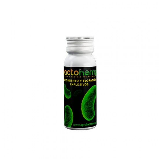 BactoHemp BactoHemp