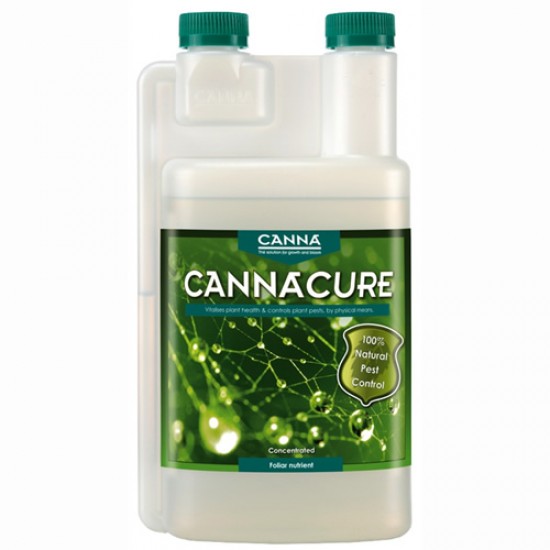 Cannacure Cannacure