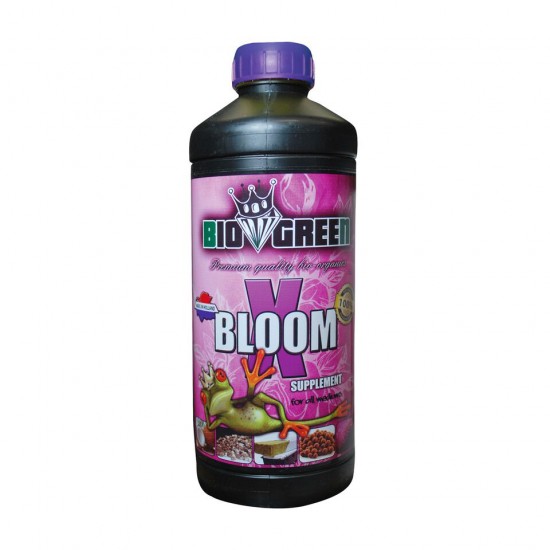X-Bloom X-Bloom