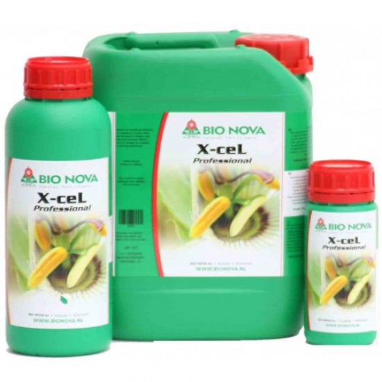 X-CEL Professional BIonova X-CEL Professional BIonova