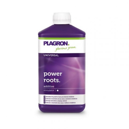 Power Roots Power Roots