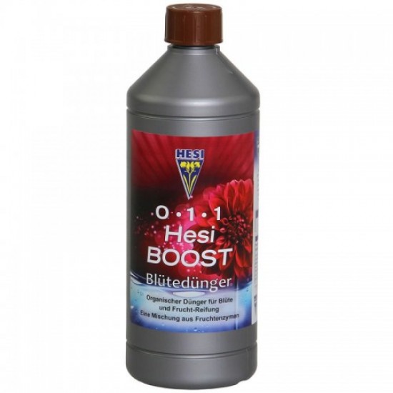 Hesi Boost Hesi Boost