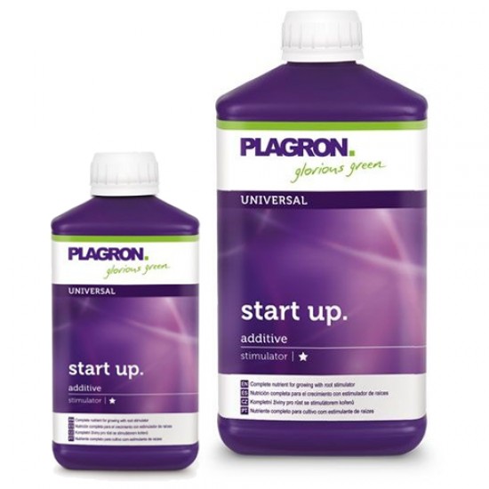 Start Up Start Up