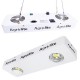 LED Agrolite 200W LED Agrolite 200W