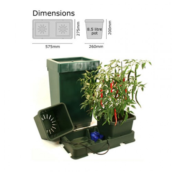 Easy2grow KIT Easy2grow KIT