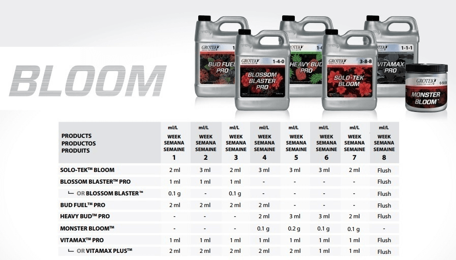 Grotek tabla floración