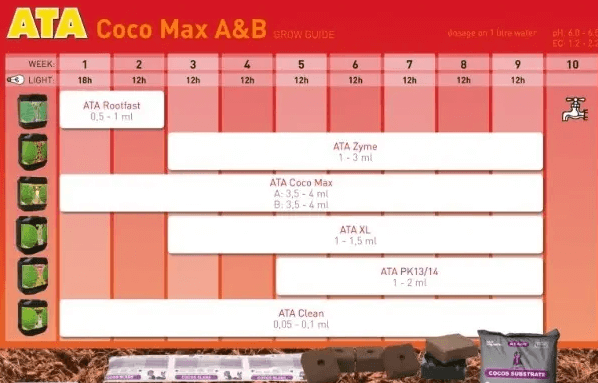 Tabla de Atami Coco