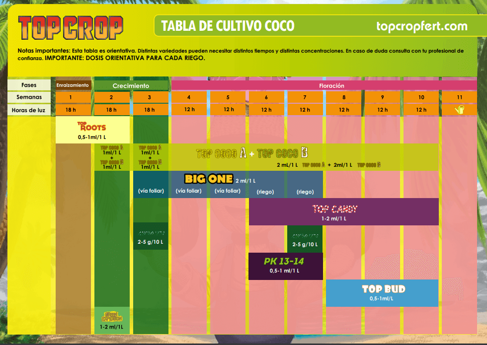 Bio One Top Crop tabla coco