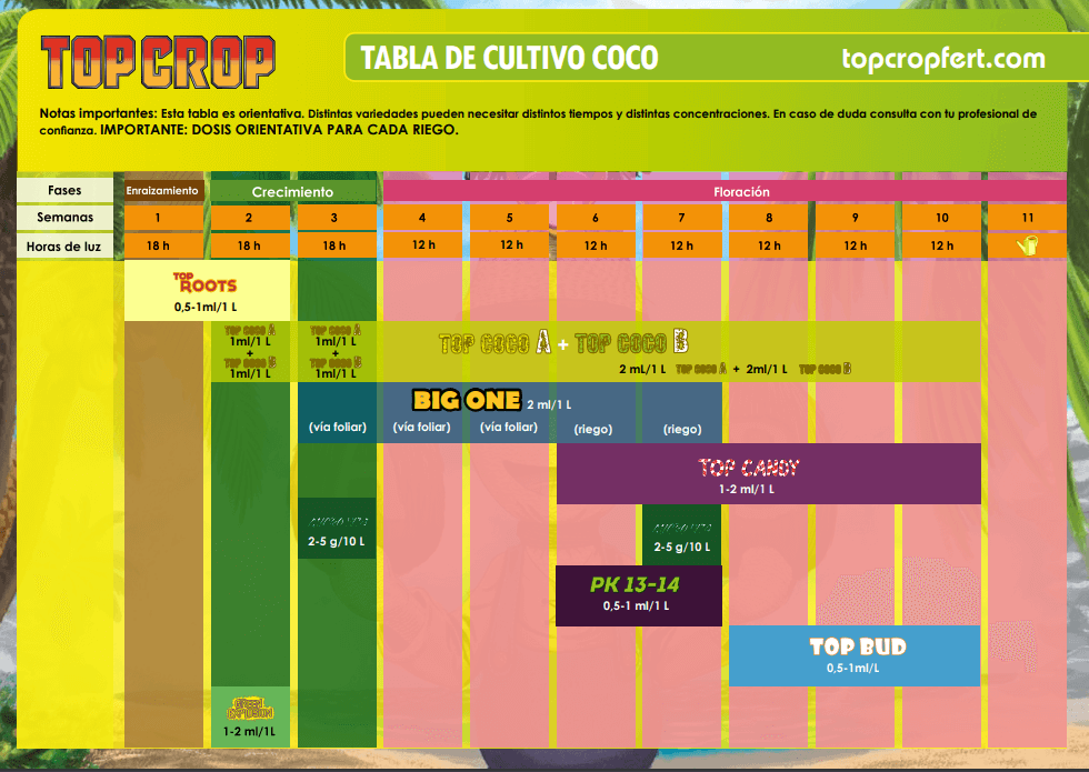 Top Candy Top Crop Tabla coco