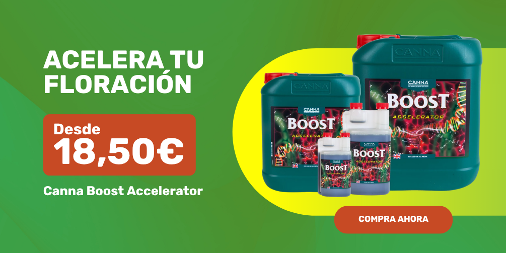 Canna Boost Accelerator